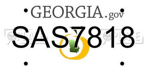 SAS7818 Georgia License Plate
