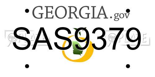 SAS9379 Georgia License Plate