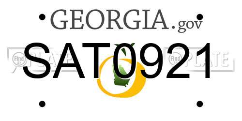 SAT0921 Georgia License Plate