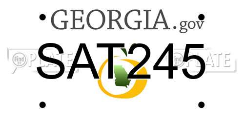 SAT245 Georgia License Plate