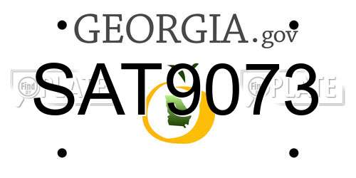 SAT9073 Georgia License Plate