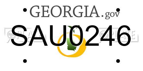 SAU0246 Georgia License Plate