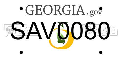 SAV0080 Georgia License Plate