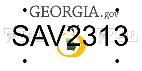 SAV2313 Georgia License Plate