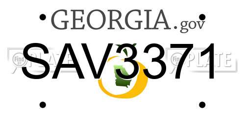 SAV3371 Georgia License Plate