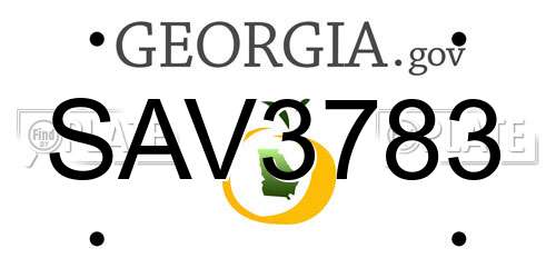 SAV3783 Georgia License Plate