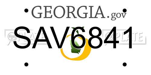 SAV6841 Georgia License Plate