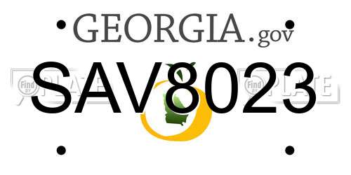SAV8023 Georgia License Plate