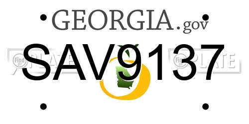 SAV9137 Georgia License Plate