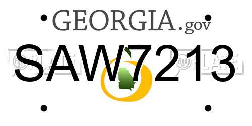 SAW7213 Georgia License Plate