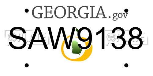 SAW9138 Georgia License Plate