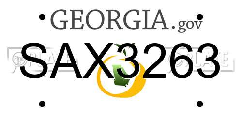 SAX3263 Georgia License Plate