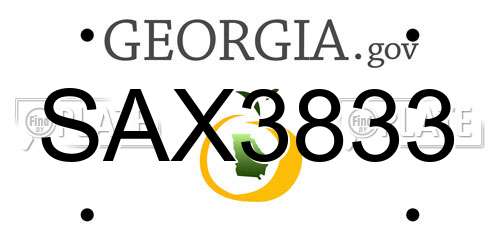 SAX3833 Georgia License Plate