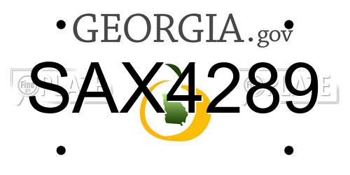 SAX4289 Georgia License Plate