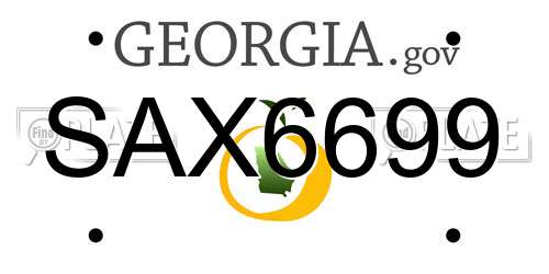 SAX6699 Georgia License Plate
