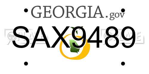 SAX9489 Georgia License Plate