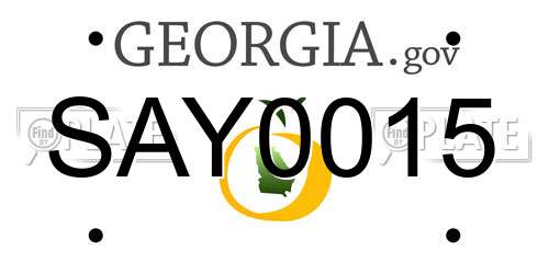 SAY0015 Georgia License Plate