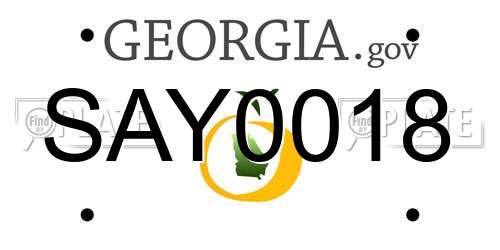 SAY0018 Georgia License Plate