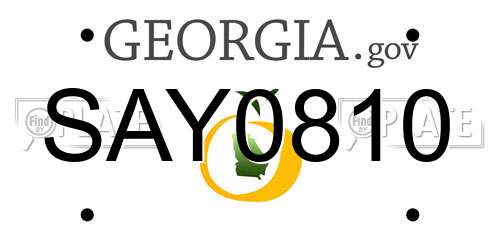 SAY0810 Georgia License Plate
