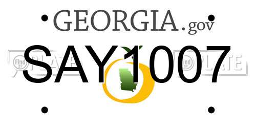 SAY1007 Georgia License Plate