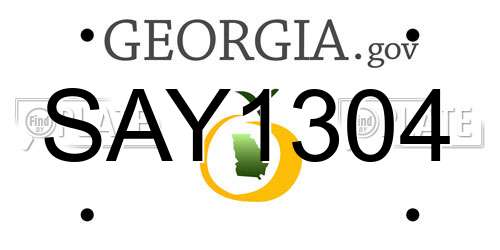 SAY1304 Georgia License Plate