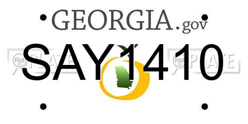 SAY1410 Georgia License Plate