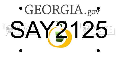 SAY2125 Georgia License Plate