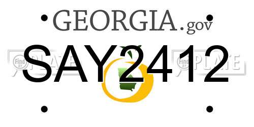 SAY2412 Georgia License Plate