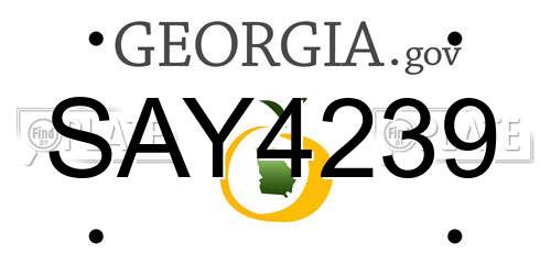 SAY4239 Georgia License Plate