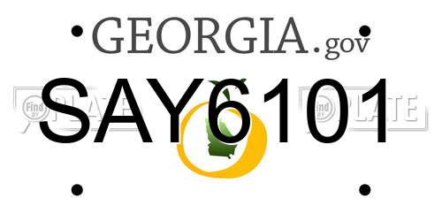 SAY6101 Georgia License Plate