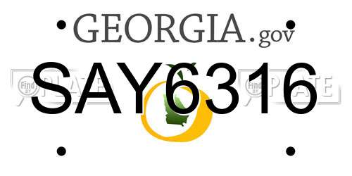 SAY6316 Georgia License Plate