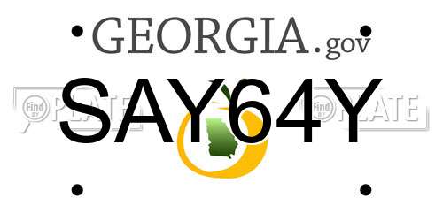 SAY64Y Georgia License Plate