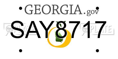 SAY8717 Georgia License Plate