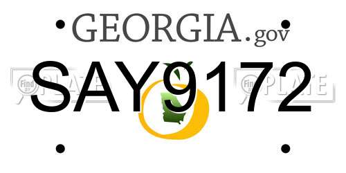 SAY9172 Georgia License Plate