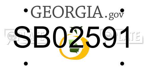 SB02591 Georgia License Plate