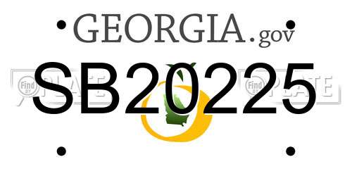 SB20225 Georgia License Plate