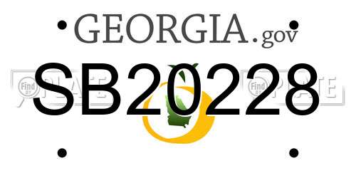 SB20228 Georgia License Plate