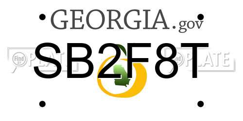 SB2F8T Georgia License Plate