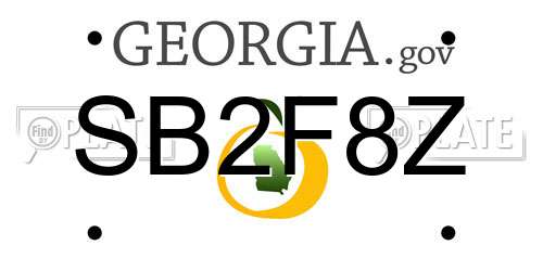 SB2F8Z Georgia License Plate