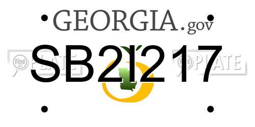 SB2I217 Georgia License Plate