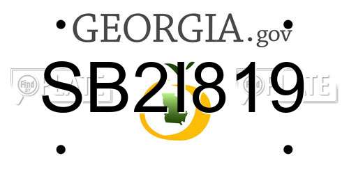 SB2I819 Georgia License Plate