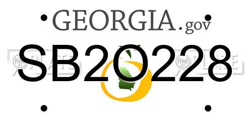SB2O228 Georgia License Plate