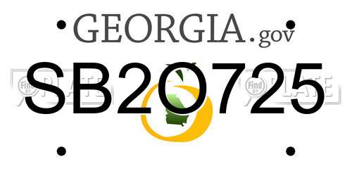 SB2O725 Georgia License Plate