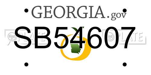SB54607 Georgia License Plate