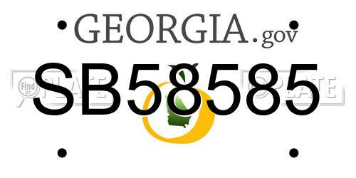 SB58585 Georgia License Plate