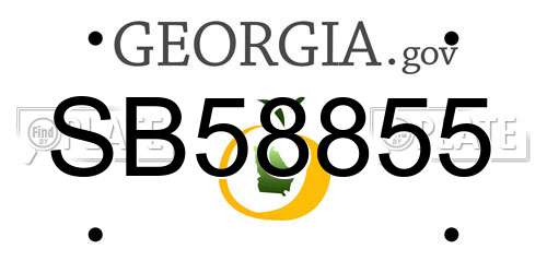SB58855 Georgia License Plate