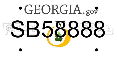SB58888 Georgia License Plate