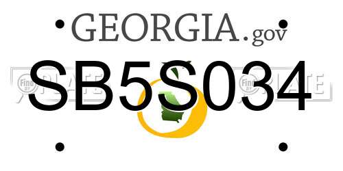 SB5S034 Georgia License Plate