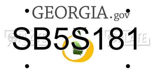SB5S181 Georgia License Plate