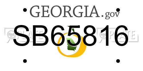 SB65816 Georgia License Plate